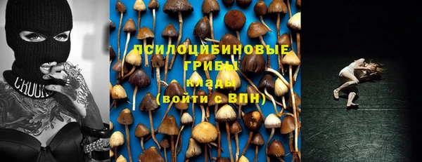 дживик Абаза