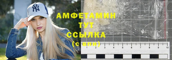 дживик Абаза